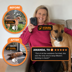 QuietHome device with dog